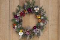 A Gardener's Garland wreath is created on a woven willow base covered in spruce foliage interspersed with dried lavender and ornamental grasses. It is then decorated with dried chilli peppers, miniature pumpkins, fircones, everlasting flowers and the seedheads of allium, poppies, nigella