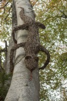 Willow lizard sculpture on a tree trunk