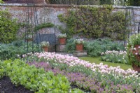 In the potager, rows of Tulipa 'Angelique' interspersed with blue or pink forget-me-nots. The tulips are also planted in the terracotta pots flanking the bench in front of pears espaliered on the back wall.