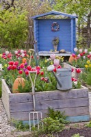 Garden tools and spring beds with tulips.