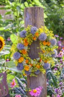 Wreath made of summer flowers including  pot marigold, fennel, globe thistles and wild carrots.