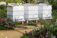 Beehives in a pollinator wildlife friendly garden - gravel path and mixed perennial planting borders