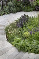 'Curved path intersecting beds of perennials in 'Here We Go Round The Mulberry Bush' garden at BBC Gardener's World Live 2019, June