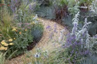 Mixed perennial planting in 'The Children with Cancer UK Strength of Humanity Garden' at BBC Gardeners World Live 2019, June