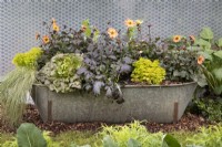 Tin bath full of vegetables and flowers in 'The Dahlia Garden' at BBC Gardeners World Live 2019, June