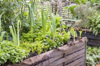 A raised bed lined with hessian, vegetable garden with mixed planting of Mint, Parsley, Leeks, Violas and Carrots 