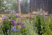 Mixed perennial planting border of Camassia, Papaver dubium 'Albiflorum', Allium 'Purple Rain' and Hesperis matronalis - RHS Malvern Spring Festival Wilder Spaces garden for the Wildlife Trusts