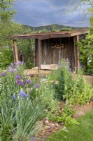 A wildlife garden using reclaimed building materials and untreated timbers - a shelter with living roof, mixed perennial planting in the gravel borders of Camassia leichtlinii, Papaver dubium 'Albiflorum', Alliums and Hesperis matronalis - Malvern Spring Festival Wilder Spaces garden for Wildlife Trusts