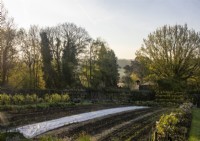 Horticultural fleece is used to protect early crops in the Kitchen Garden at Gravetye Manor.