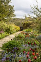 A paved path runs between spring borders with orange and purple tulips, forget-me-nots and emerging herbaceous at Gravetye Manor.