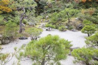 Planting of pine trees in gravel next to the shrine.