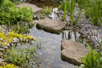 Stepping stones over a pond with marginal planting 