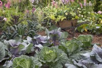 Vegetables in 'The Dahlia Garden' at BBC Gardeners World Live 2019, June