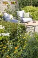 Patio seating area with table and chairs with Taxus baccata hedge, mixed perennial planting, Trollius chinensis 'Golden Queen', Ranunculus acris, Digitalis purpurea 'Albiflora' - drystone wall with corten steel bird boxes