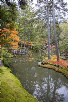 View to the main pond of the garden called Ogonchi also known as Shinji Ike. Acers with autumn. Moss groundcover at pond edge. 
