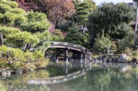 The Shinsetsu-kyo bridge and Ingetsuchi pond. View to trees behind. 
