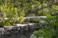 Pond with reclaimed salvaged concrete edges and raised bed borders mixed perennial planting - Iris chrysographes, Rheum palmatum 'Rubrum', Euphorbia ceratocarpa, Corokia cotoneaster and ornamental grasses
