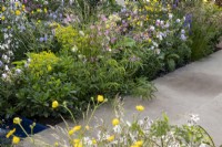 Stone paving path mixed perennial planting border of Geranium, Lychnis flos-cuculi, Euphorbia and Ranunculus acris - meadow buttercup