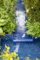 A modern contemporary water rill made from recycled plastics with mixed perennial planting Geranium phaeum 'Raven' and a Taxus baccata - English Yew hedge 