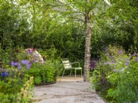 Path leading to seating area with green Fernob chair next to Betula nigra and the flowering bed at Horatio's Garden, Chelsea Flower Show 2023. Designer: Charlotte Harris and Hugo Bugg, Gold medal winner, Best Show Garden