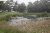 Flower meadows and natural pond on a misty morning with oak sleeper jetty 