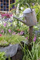 Galvanised watering can used as a water spout on a water feature with  old tin bath container filled with aquatic plants including Scirpus cernuus