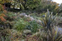 Autumnal planting around ponds at The Garden House in Devon, with Photinia villosa, Cyperus involucratus, Schoenoplectus lacustris subsp. Tabernaemontani 'Zebrinus' Phormium 'Buckland Ruby'