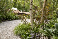 A curved gravel path with woodland planting including a Betula utilis var. jacquemontii 'Doorenbos' tree, Hosta undulata 'Albomarginata' and Tiarella 'Sky Rocket in the distance a wooden recliner