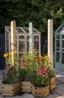 Hexagonal shaped wooden planters with mixed perennial planting of Rudbeckia 'Irish Eyes', Echinacea 'Delicious Candy' and Verbena bonariensis with timber post insect hotels