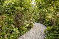 A curved gravel path with mixed perennial planting