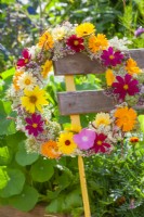 Summer flower wreath with Calendula officinalis, Cosmos, Helianthus, Persicaria amplexicaulis and Daucus carota hanging from the chair.