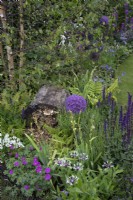 Mixed perennial planting surrounding a natural insect hotel in 'RHS Garden for Wildlife Wild Woven' - RHS Chatsworth Flower Show 2019, June