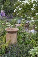 Wooden bird bath set amongst mixed perennial planting in the 'RHS Garden for Wildlife Wild Woven' - RHS Chatsworth Flower Show 2019, June