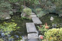 Stepping stones across the pond in The Japanese Garden at Compton Acres, Canford Cliffs, Dorset in March