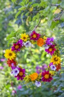 Wreath made of summer flowers and berries including Dahlia, Helianthus, Foeniculum, Calendula, Petunia, Sweet peas and Guelder rose berries hanging from a tree.