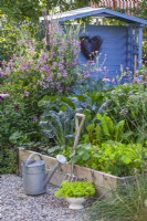 Colander of harvested lettuce, watering can and garden fork infront of the raised bed full of crops. Sweet pea climbing up cane support and blue painted gazebo in the background.