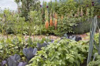 Rows of vegetables in 'An Imagined Miner's Garden' at RHS Chatsworth Flower Show 2019, June