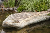 A large stone boulder over a pond - marginal planting of Phalaris arundinacea