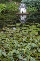 Ornate floating duck house amongst lily pads in large pond