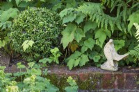 Bird statue perched on a mossy brick wall with box ball, Buxus sempervirens, foliage of Japanese anemone, Anemone x hybrida, and Alchemilla mollis.