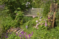 Rosa rugosa 'Alba' growing above a wooden bench with mixed perennial planting including Rosa 'Ballerina', log pile as an insect habitat