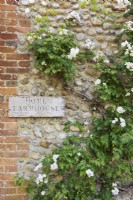 Home Farmhouse sign framed by rose Rosa 'Rambling Rector' on the brick and flint wall.