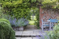 Brick archway draped with wisteria foliage looking through from the sunken terrace next to the house to the wildflower meadow in the distance. Including prostrate rosemary Rosmarinus officinalis cv., and catmint, Nepeta 'Six Hills Giant'.