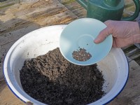 Making and sowing seed balls sequence # 1 - add seed to compost with added clay