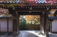 Paved entrance to temple and view into landscaped garden. Acers in autumn colour.