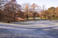Frost covered lawn surrounded by bare trees at Kew Gardens