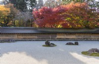 The Rock Garden with raked gravel and placed stones in moss islands. Walls of clay with tiled roofs. Acers in autumn colour outside the garden. 