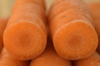 Daucus carota  'Romance'  Washed carrot cut open  September