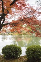 View over the Kasumigaike pond framed by trees with autumn colour. 