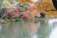 Trees with autumn colour reflected in the water of the Kasumigaike Pond. Rain splashes on pond surface. 